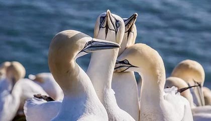 宣威最新公积金卡提取现金方法app方法分析(最方便真实的宣威公积金卡怎样从手机里取出来?方法)