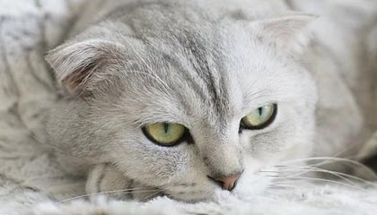 宣威最新24小时高价回收公积金余额方法分析(最方便真实的宣威收回公积金会计分录方法)