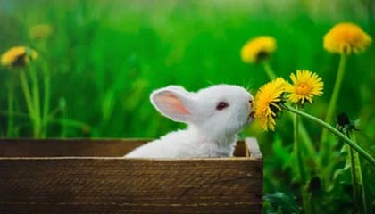 宣威最新怎么提现公积金卡里的钱方法分析(最方便真实的宣威怎么将公积金提现方法)